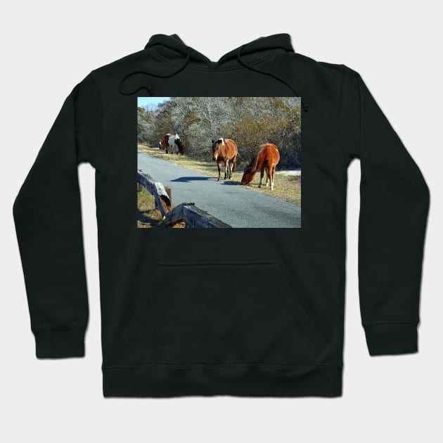 Assateague Ponies Say the Grass is Greener Hoodie by Swartwout